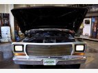 Thumbnail Photo 42 for 1978 Ford F150
